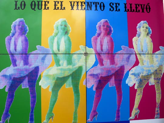  ANA SANCHEZ _ vivir del aire  